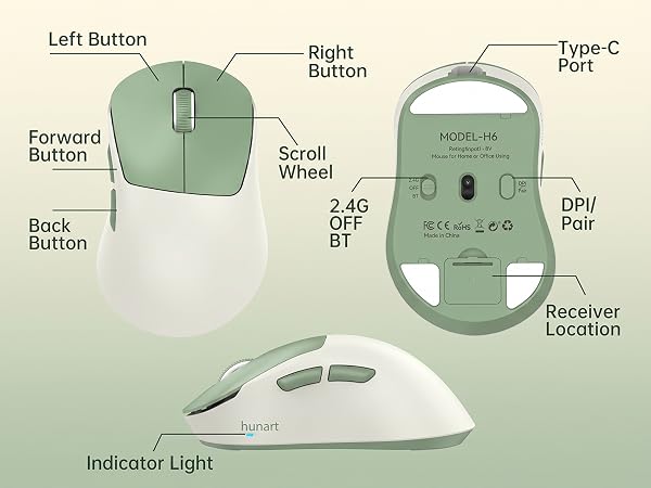 H6 Mouse
