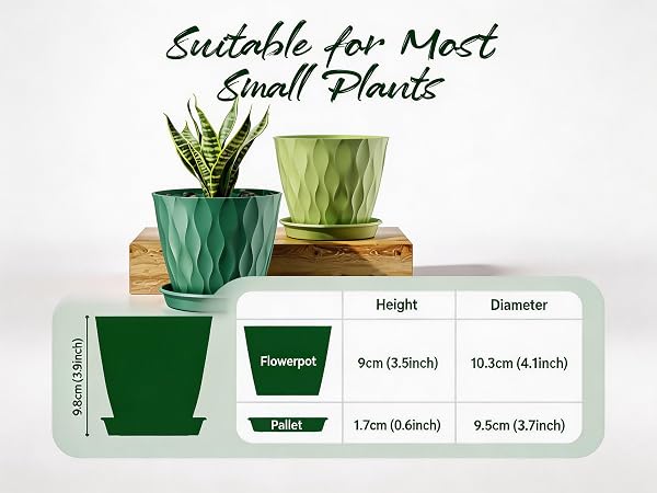 succulent pots