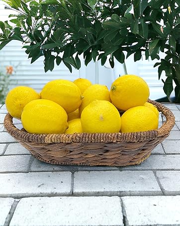 Basket Oval Bread Fruit Natural Handwoven Wicker Abaca Kitchen Counter Dining Table Storage Bathroom