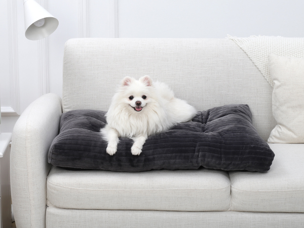 for Sofa