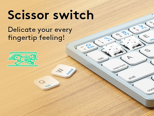 Scissor Switch