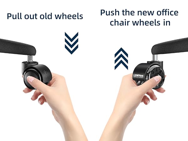 Universal Stem