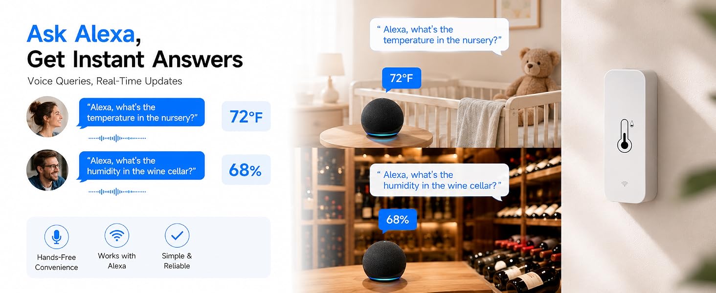 Alexa Thermometer