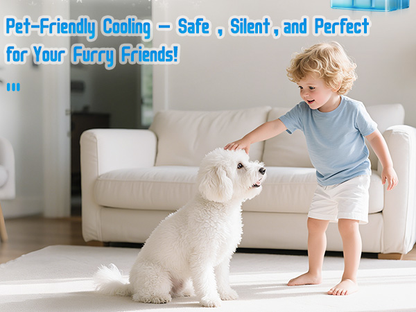 Indoor Mini AC Unit