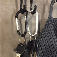 keychain clips