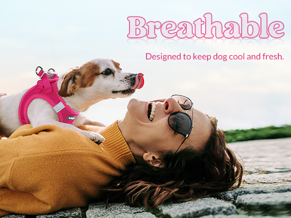 breathable dog harness