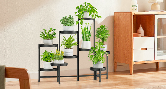 Plant Stand Indoor