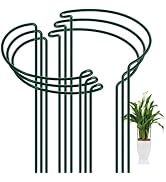 FEED GARDEN 6 Pack Plant Support Stakes, Peony Cages and Supports, Metal Garden Plant Stake(10" W...