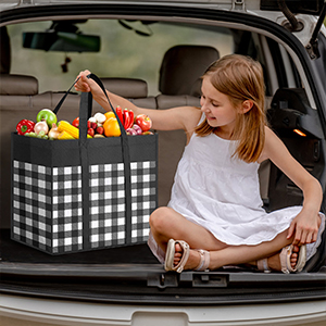 Reusable Grocery Bags