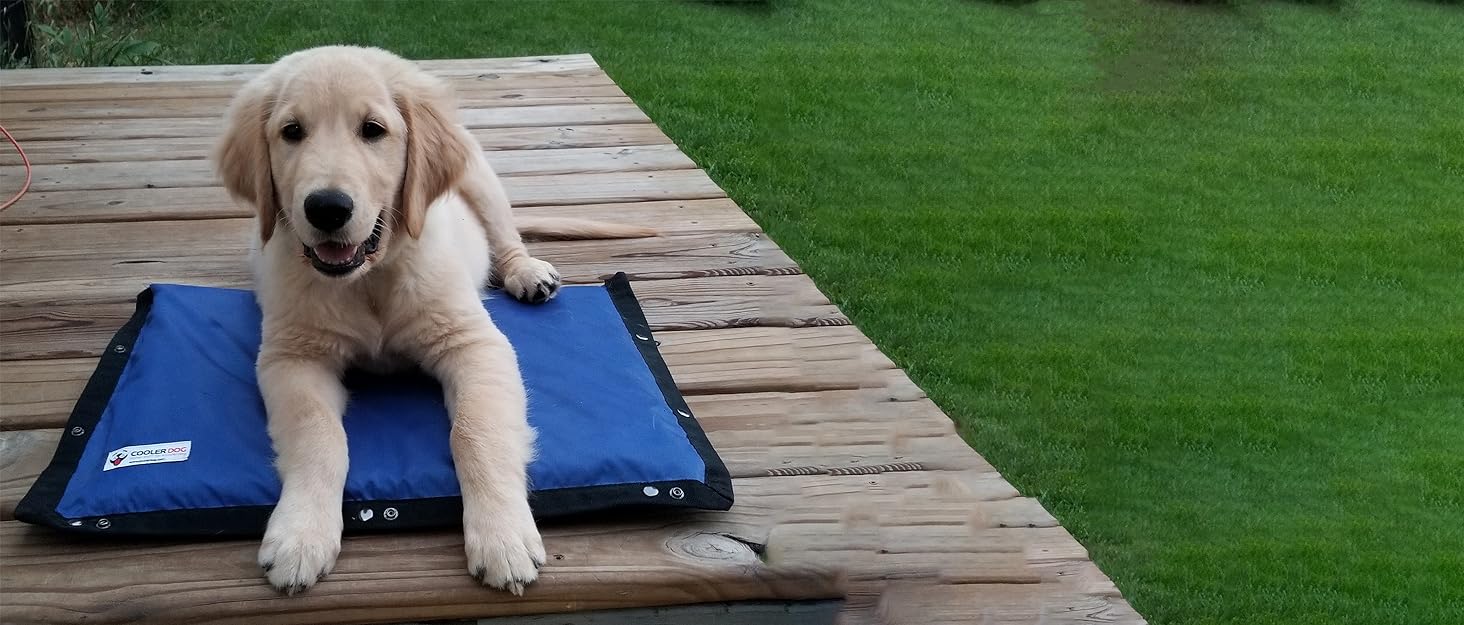 Dog laying on the CoolerDog Hydro Cooling Mat staying safe in the heat