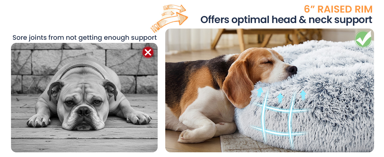 Support dog bed