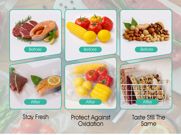 hand held vacuum sealer for food
