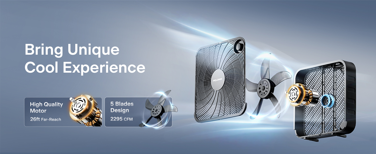 Unique Cool Experience