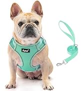 PUPTECK Dog Harness and Leash Set for Small Medium Dogs No Pull, Soft Mesh Adjustable Puppy Cat H...