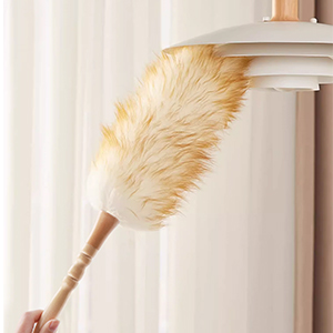 wool duster