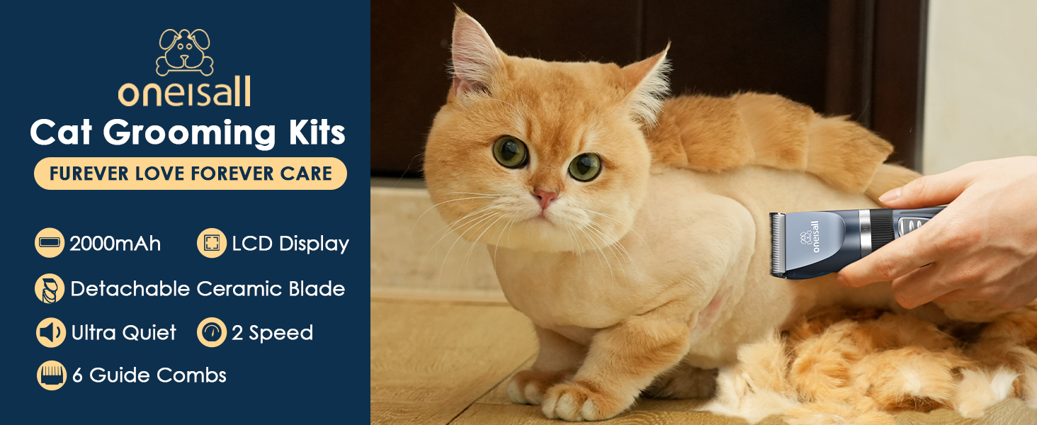 cat clipper
