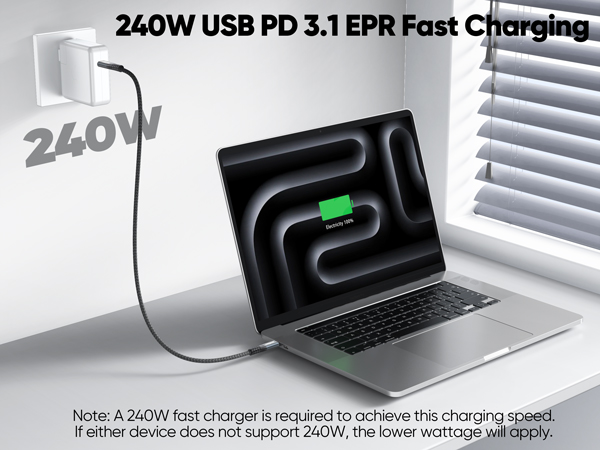 usb c PD 3.1 cord