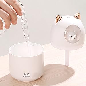 HUMIDIFIER