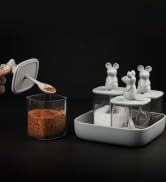 QUALY Lucky Mouse Seasoning Container & Spoon Set of 4 Cute Kitchen Accessories Great For Spices,...