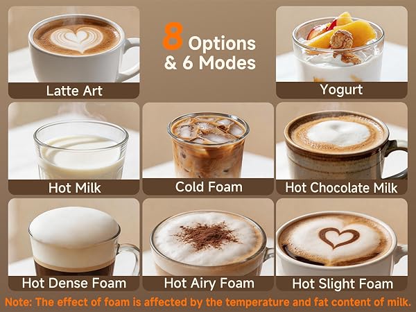 6 in 1 milk frother
