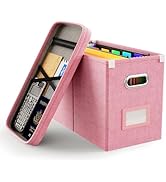Oterri File Organizer Box with Lid, Hanging Filing File Box with Mesh Pocket, Document Organizer ...