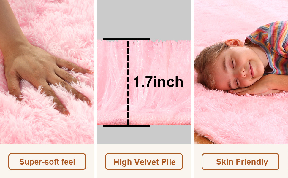 Ehayx 2x3 Pink Rugs for Bedroom Living Room
