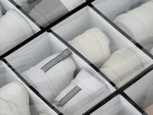shoe organizer closet