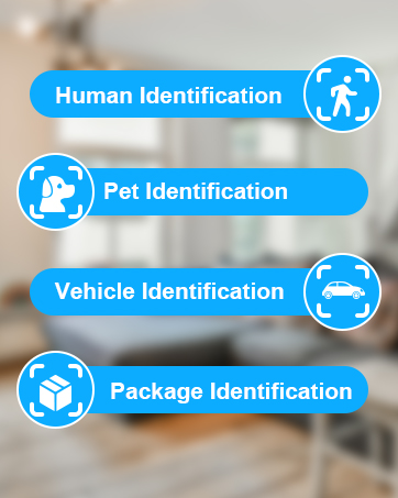 cameras for home security