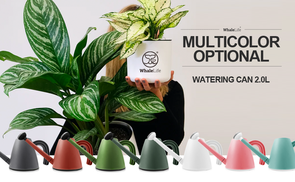 Small Watering Can