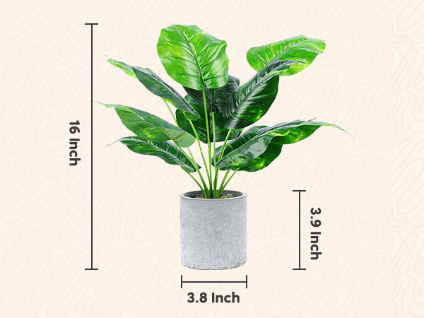 Fake Plants
