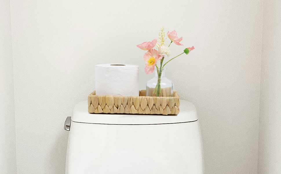 Bathroom Tray