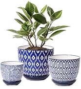 Selamica Ceramic Plant Pots, Indoor Flower Pots for Indoor Plants, 3.5+4.6+5.5 Planters with Drai...