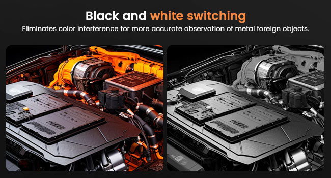 borescope camera with light