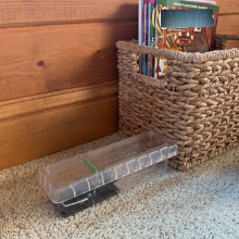 Keep the mess with the mouse when you aren't at your cabin, but the mice are!