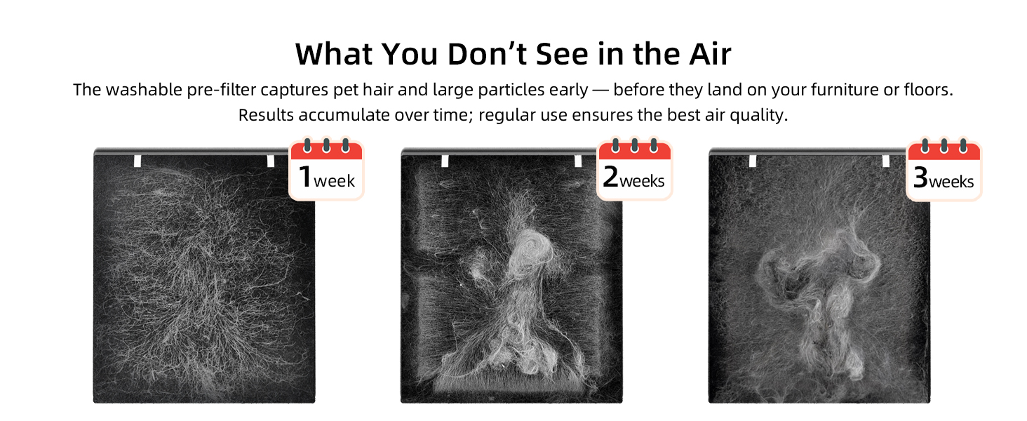 A pre-filter showing 3 weeks of collected pet hair highlights the purifier’s effective hair capture