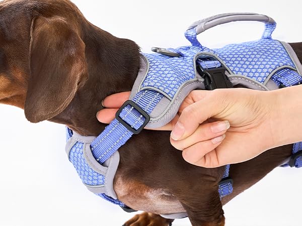 escape proof harness for dog