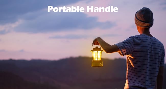 portable handle
