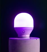 purple bulb