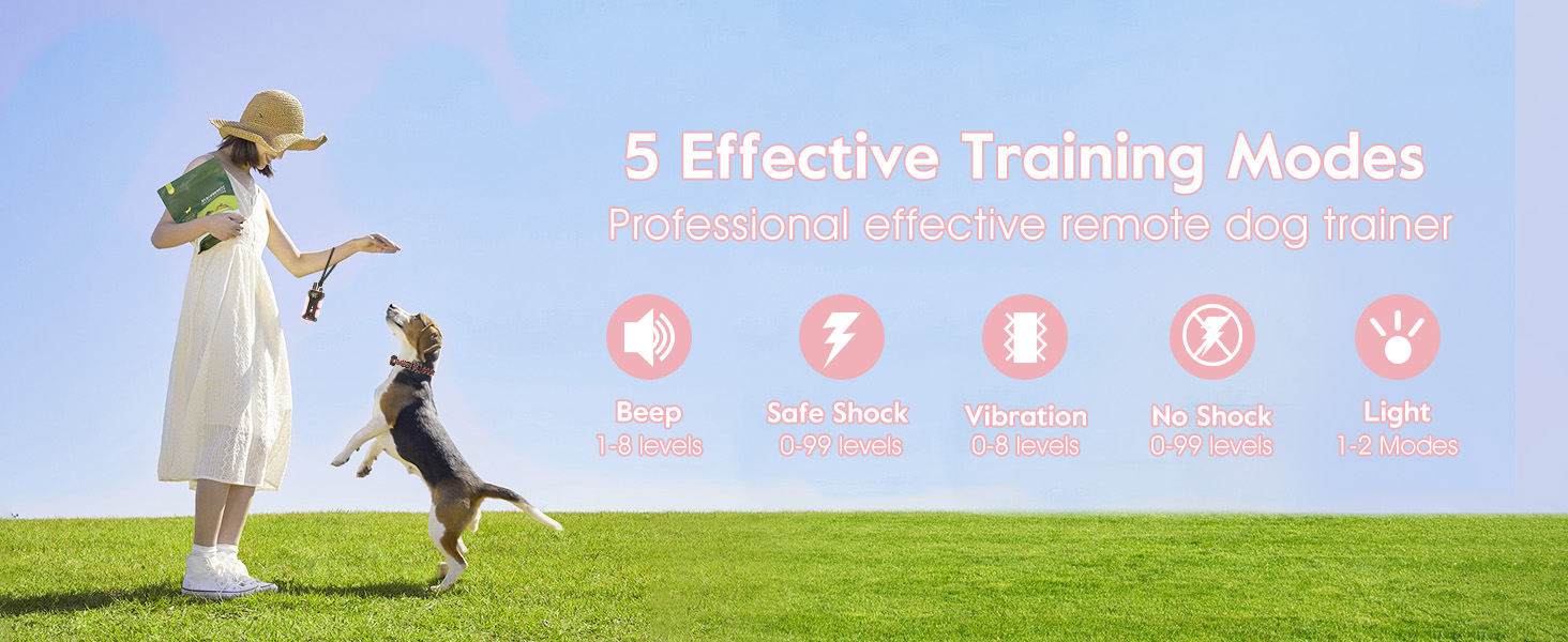 e collar for dogs training