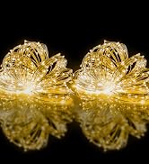 woohaha Solar String Lights,2 Pack 33FT 100 LED Solar Fairy Lights Outdoor Waterproof 8 Mode,Sola...