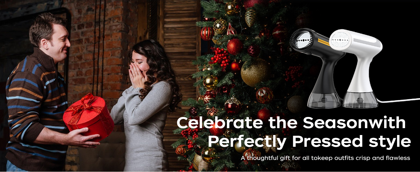 White portable steamer for clothes