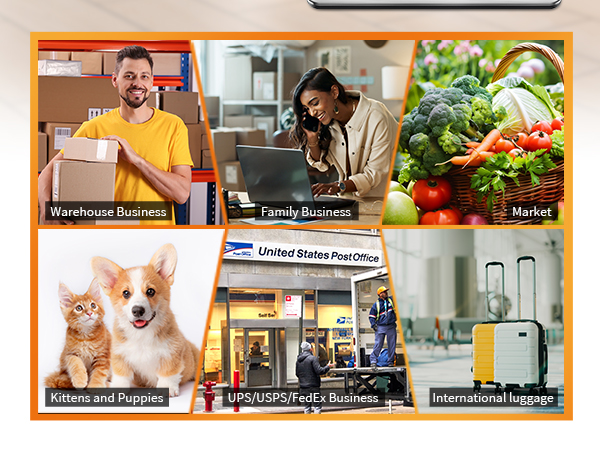 Digital postal Scale