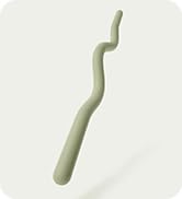 Bala EZ Curl Bar for Working Out, Beam - Ergonomic Weight Bar for Press, Curl, Row, Squat, Lunge ...