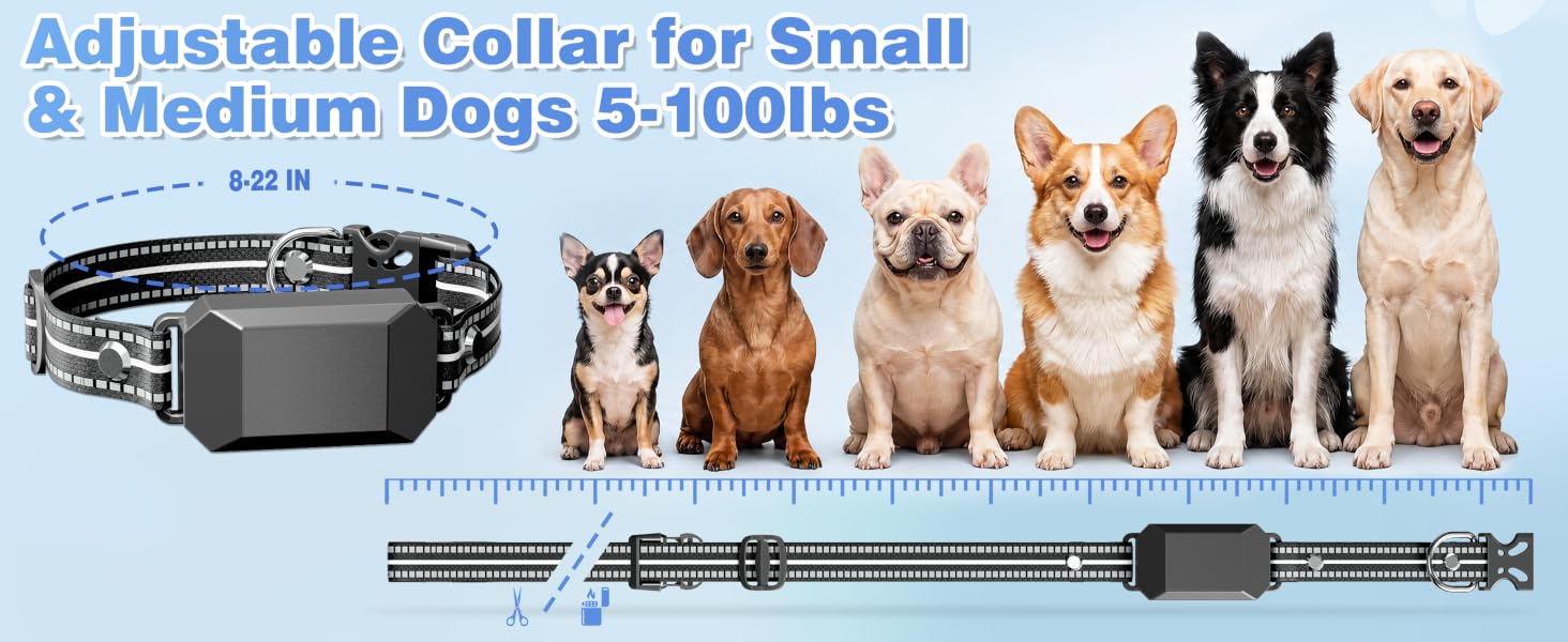 Small Shock Collar for Dogs