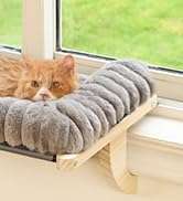 cat window perch
