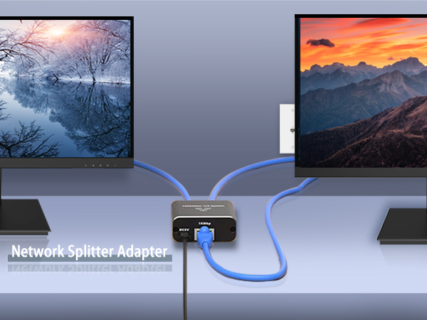 1000Mbps Network Splitter