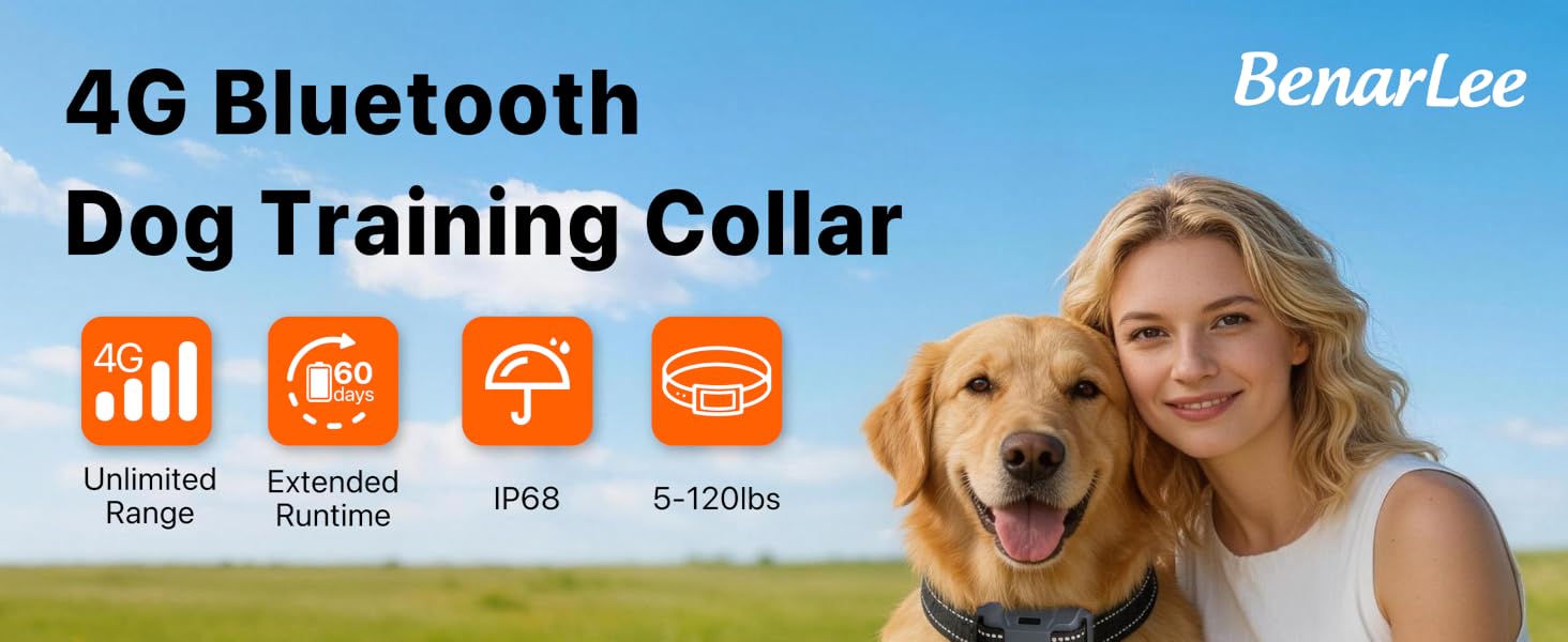 shock dog collar2