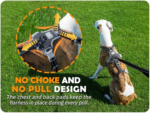 escape proof dog harness