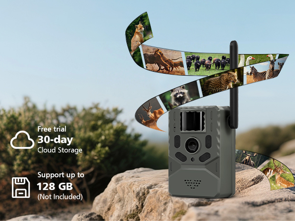 cell trail camera,solar game camera,trail camera solar