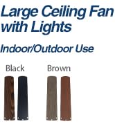 outdoor ceiling fan
